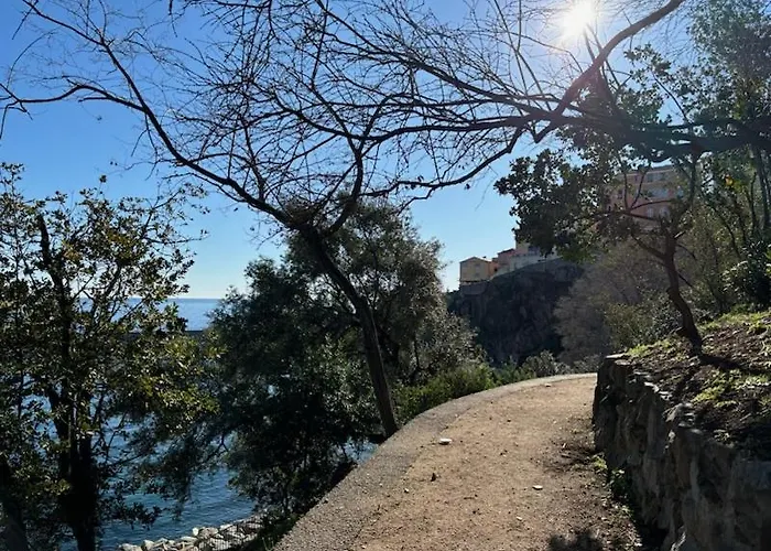 Bella Vista *